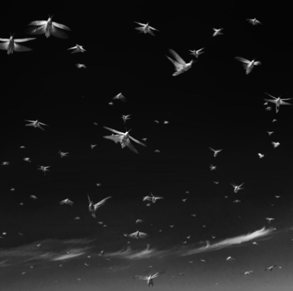 Invasion / Invasion / Нашествие