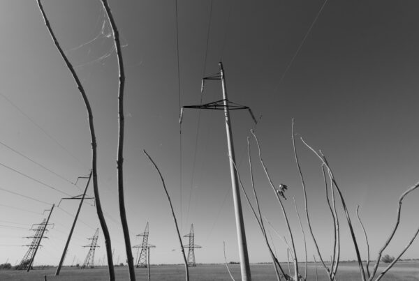 Networks / Сети / Les réseaux